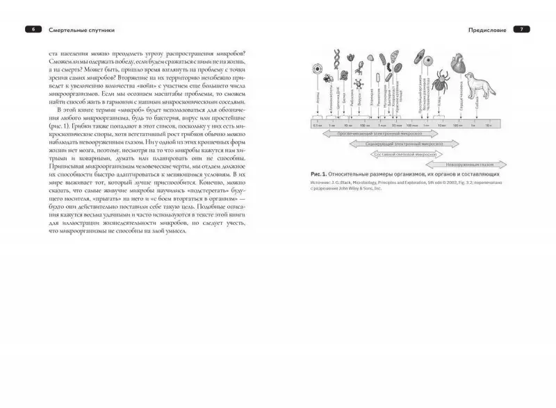 Уценка. Дороти Кроуфорд: Смертельные спутники: как микробы меняли нашу жизнь
