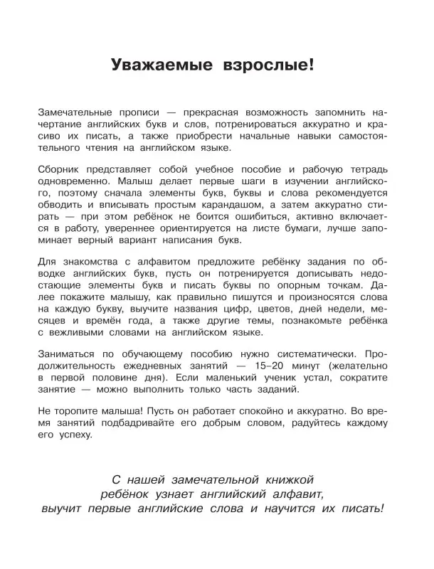 Английский язык