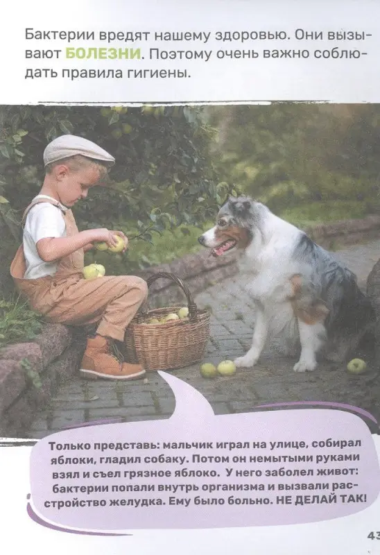 Уценка. Тело человека. Первая энциклопедия малыша