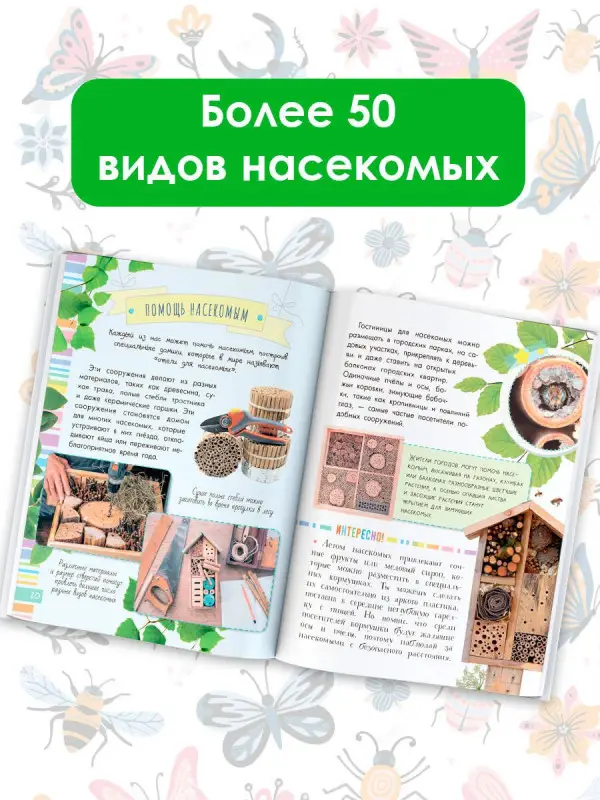 Гомыранов Илья Алексеевич: Удивительные насекомые
