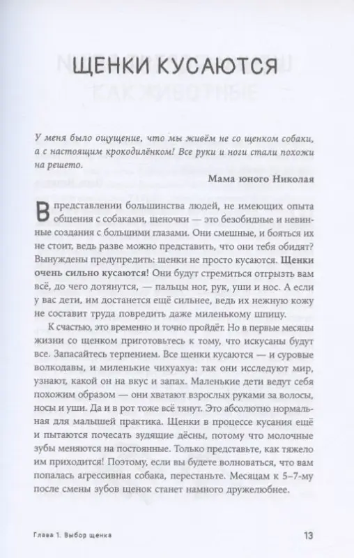 Уценка. Пигарева Надя, Тюльпинова Оксана. МЫ ПОГАВКАЛИ! КАК ВЫБРАТЬ И ВОСПИТАТЬ ЩЕНКА