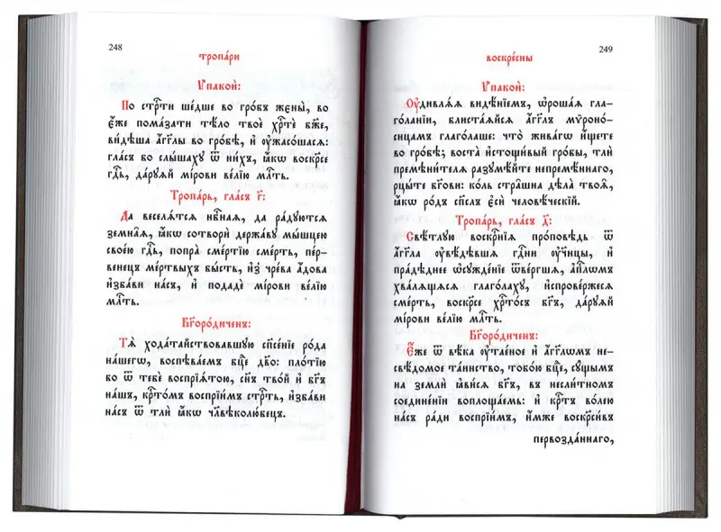 Уценка. Игорь Чубайс: Русская история, беседы о смыслах. Новая концепция - без мифов и "белых пятен"