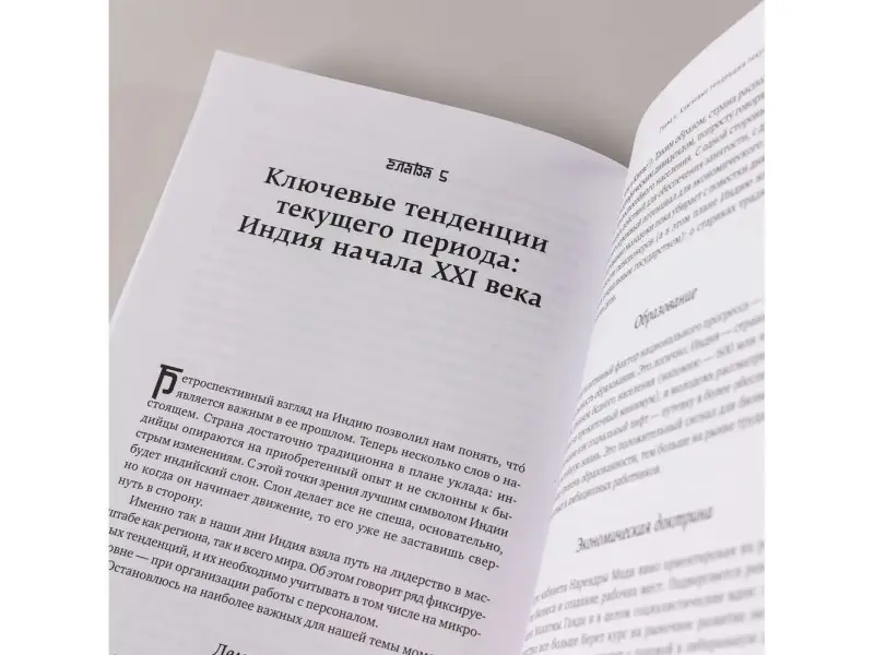 Селезнев Павел, Грива Евгений. Индийское притяжение: Бизнес в стране возможностей и контрастов