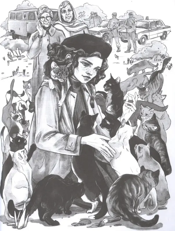 41-я кошка дп