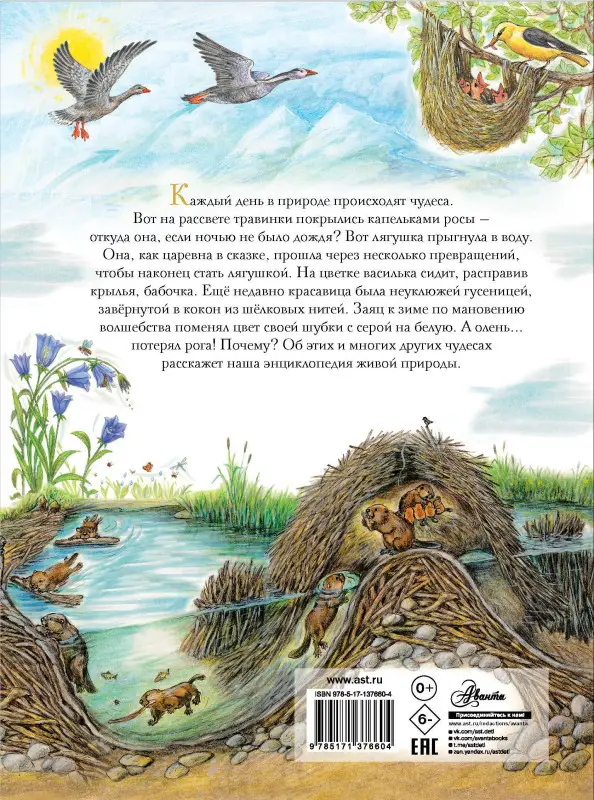 Уценка. Царинная Виктория Анатольевна: Чудеса природы. 50 историй в картинках для детей
