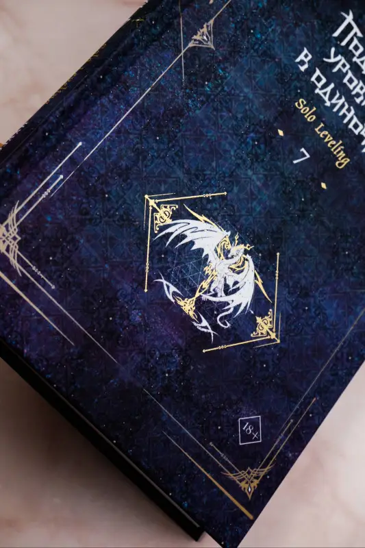 Уценка. Чхугон. Поднятие уровня в одиночку. Книга 7 (Solo Leveling). Новелла