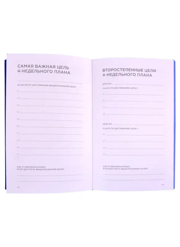 Саидов Михаил . Дневник эффективности