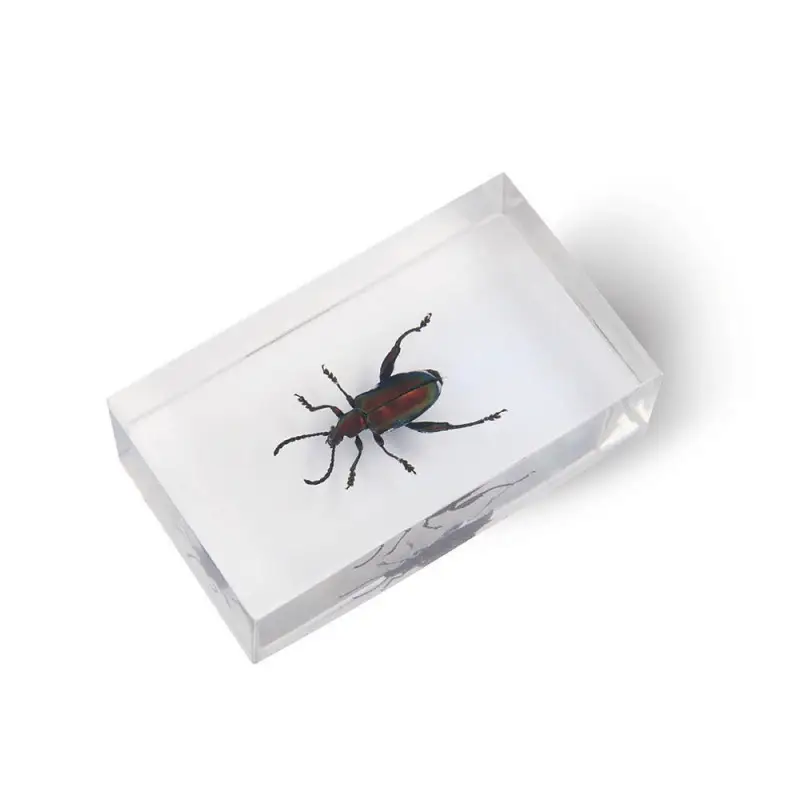 Журнал № 72 "Настоящие насекомые" (Листоед-прыгун )