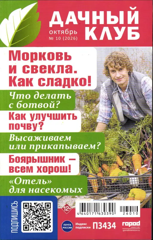 Дачный клуб 10/26
