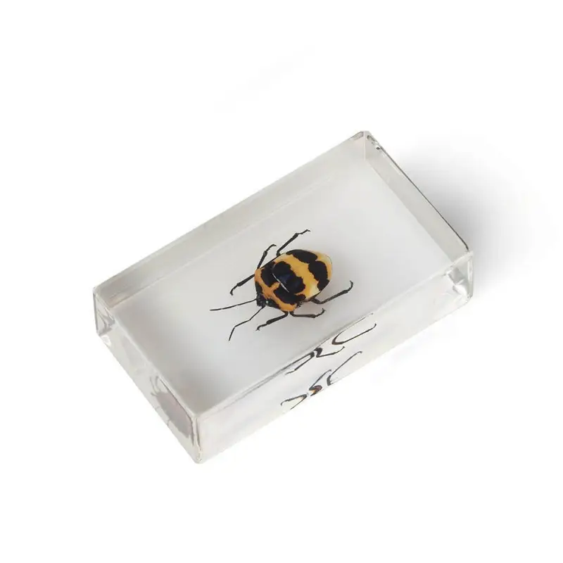 Журнал № 77 "Настоящие насекомые" (Клоп щитник-черепашка )