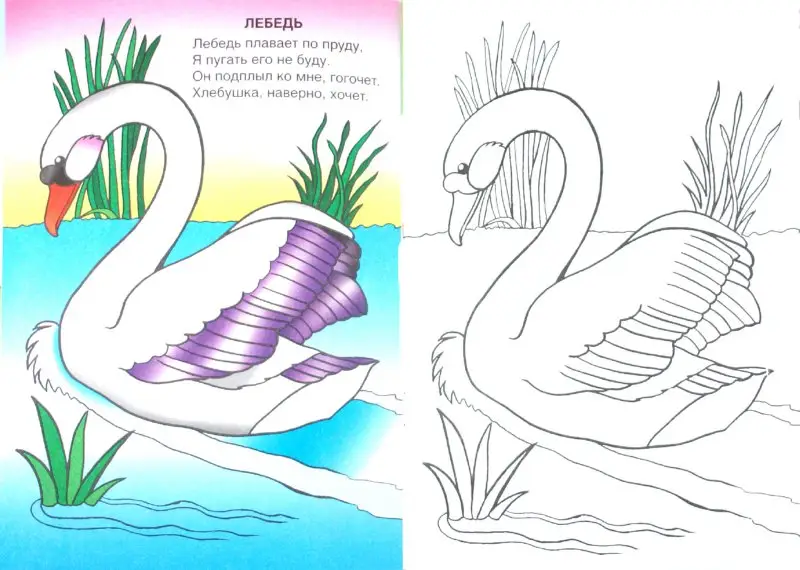 Уценка. Крылатые соседи (посмотри и раскрась)