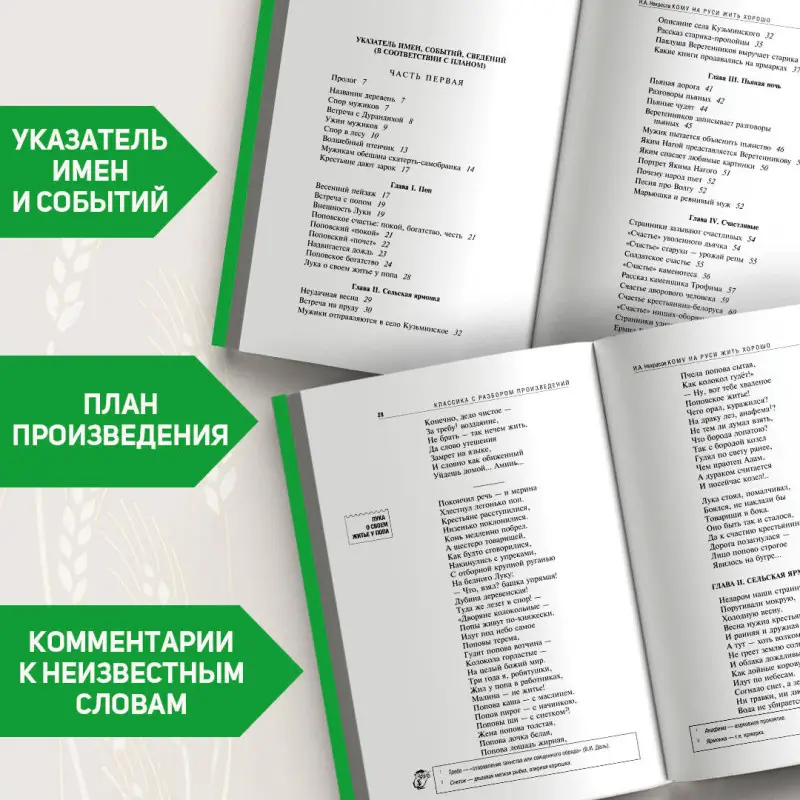 Н. А. Некрасов. Кому на Руси жить хорошо