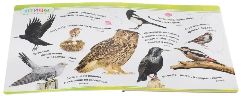 Загадки. Я знаю 50