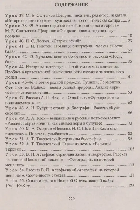 Литература. 8 класс. Система уроков по учебнику В. Я. Коровиной, В. П. Журавлева, В. И. Коровина. Часть II