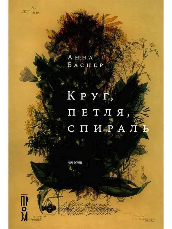 Уценка. Баснер Анна: Круг, петля, спираль