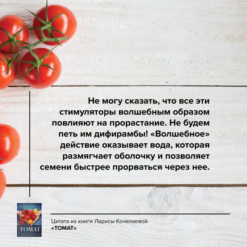 Кочелаева Лариса: Томат. Выращиваем, ухаживаем и едим