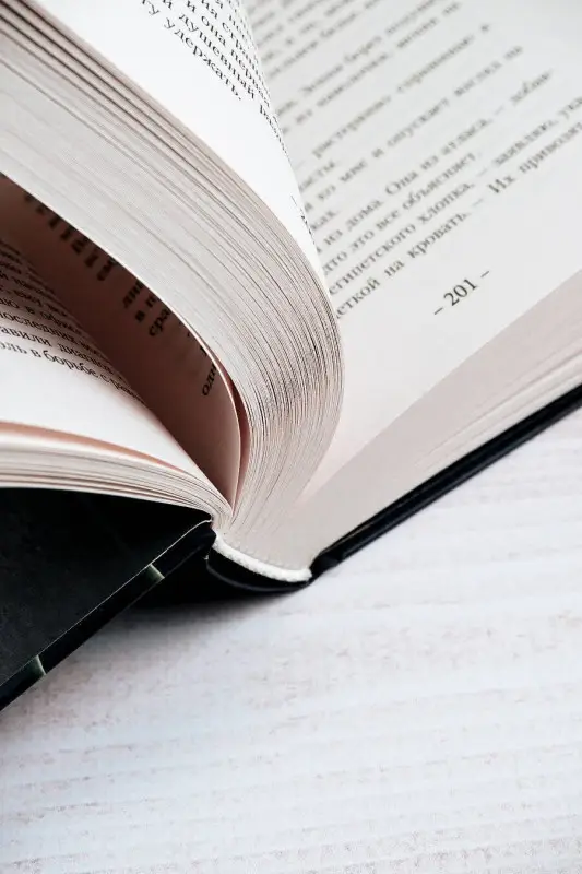 Уценка. Симоне Сьерра: Грешник