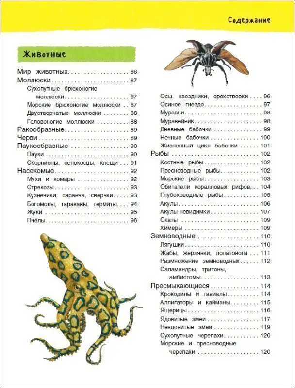 Уценка. Большая иллюстрированная энциклопедия (978-5-353-08473-0)