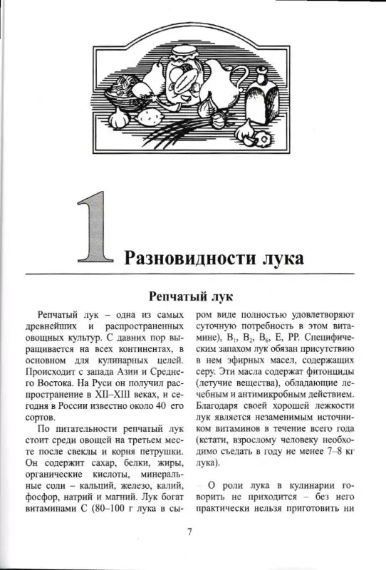 Лагутина, Лагутина: Чеснок и лук