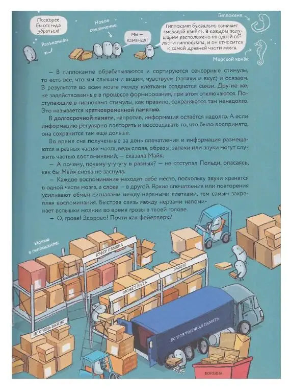 Уценка. Гёлих Сюзанна: Что такое человек? Записки любознательного хомяка
