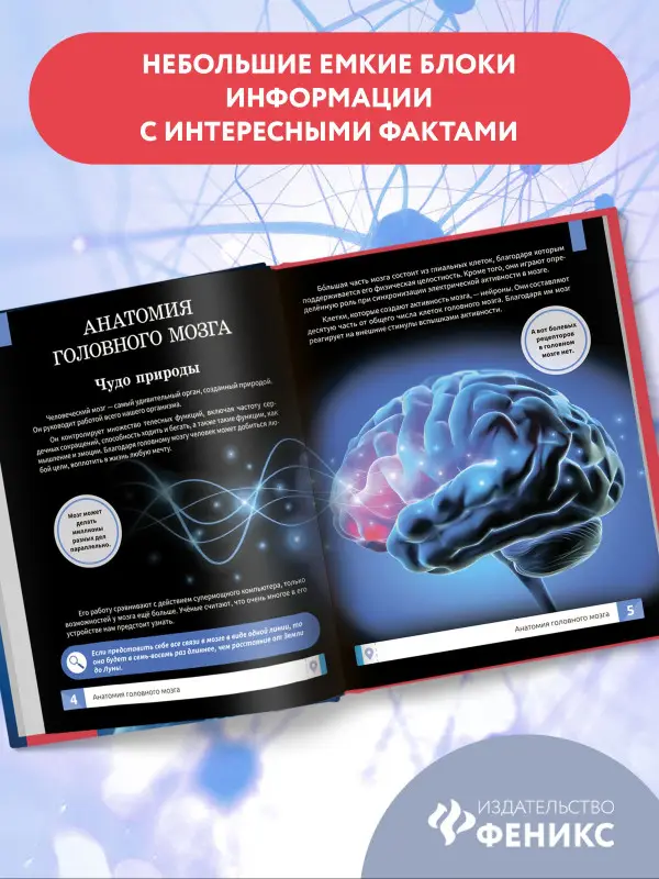 Уценка. Мозг человека. Самая умная энциклопедия