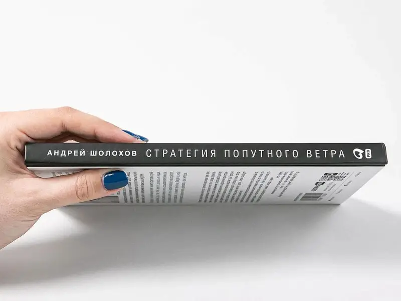 Шолохов Андрей: Стратeгия попутного ветра. Как обнаружить или создать асимметрии, способные придать бизнесу ускорение