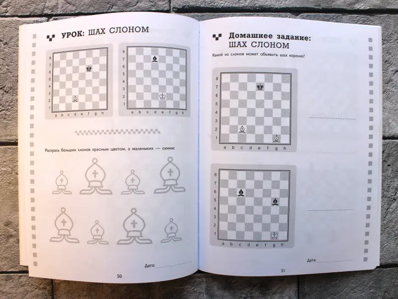 Рабочая тетрадь по шахматам. 154 практических задачи для решения и 65 развивающих заданий