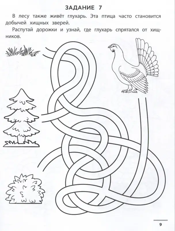 Лесные ходилки-бродилки. Развиваем зрительно-моторную координацию. 4+