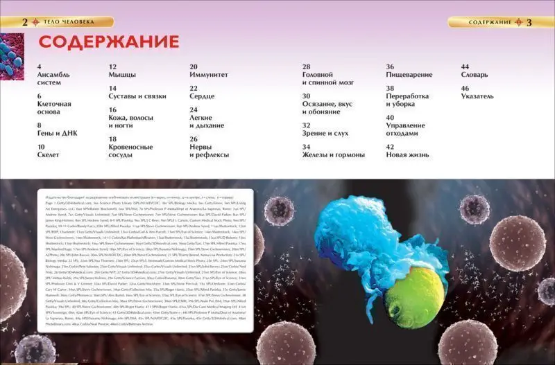 Уценка. Тело человека