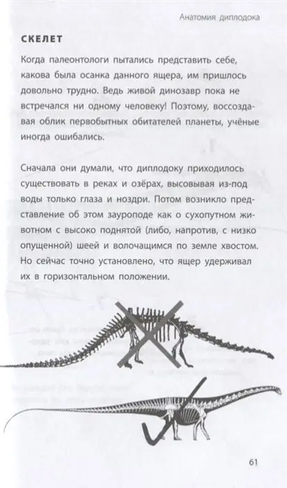 Бен Гэррод: Диплодок