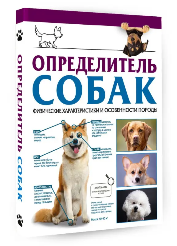Барановская Ирина Геннадьевна: Определитель собак. Физические характеристики и особеннности породы