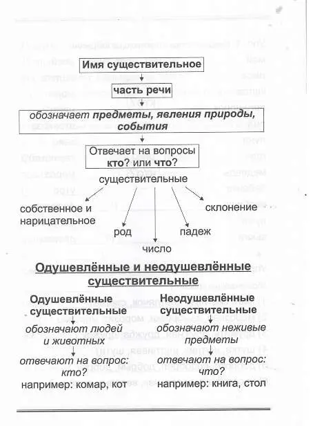 Уценка. Имя существительное: русский язык легко и быстро