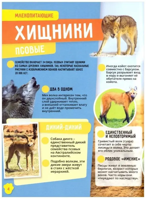 Уценка. Животные. Невероятные факты. Энциклопедия в дополненной реальности.