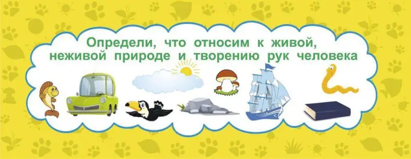Умный веер. Окружающий мир: основные понятия + занимательные задания.