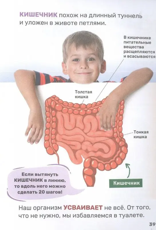 Уценка. Тело человека. Первая энциклопедия малыша