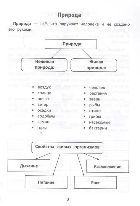 Эмма Матекина: Окружающий мир. С наклейками, ребусами, кроссвордами
