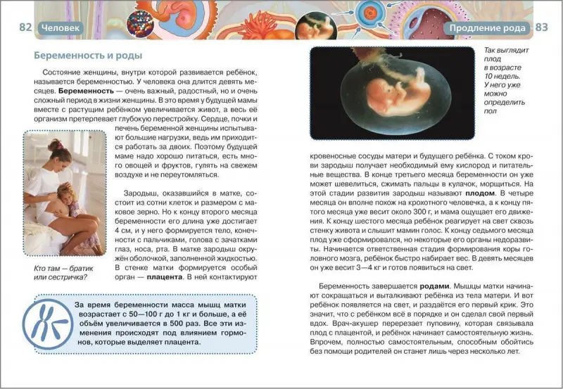 Человек. Детская энциклопедия Росмэн
