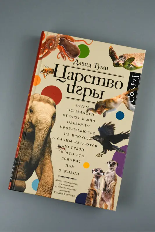 Уценка. Туми Дэвид: Царство игры