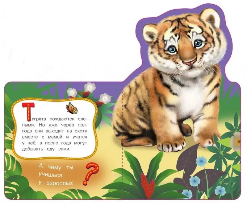 Уценка. Тигр. Мои веселые друзья