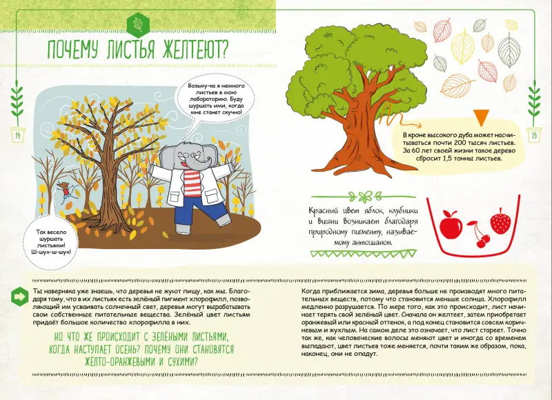 Уценка. Фатих Дикмен: Знаю больше всех про всё. О природе!