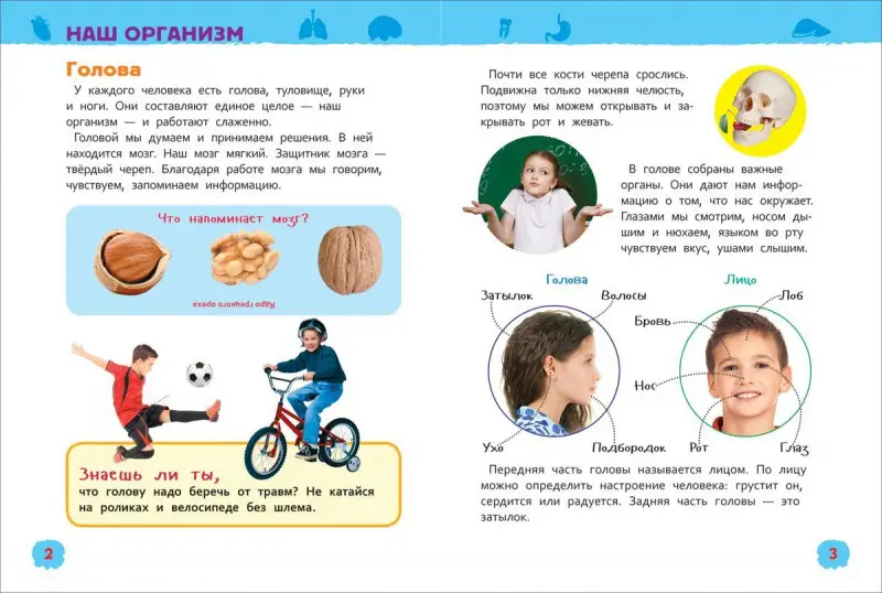 Уценка. Тело человека. Энциклопедия для детского сада