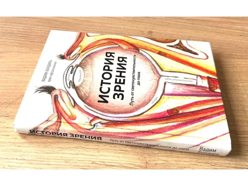 История зрения. Путь от светочувствительности до глаза
