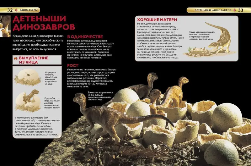 Уценка. Динозавры. Детская энциклопедия