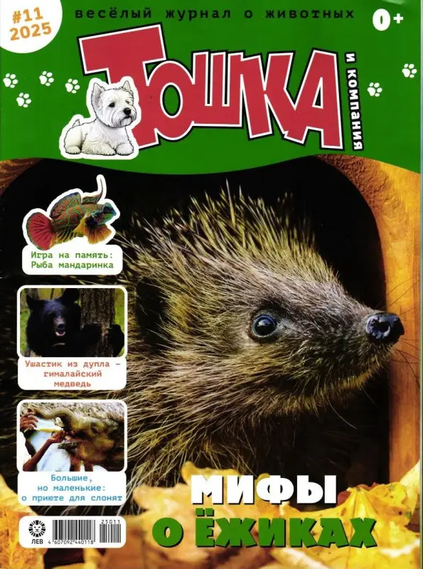 ж-л Тошка и компания 11/25