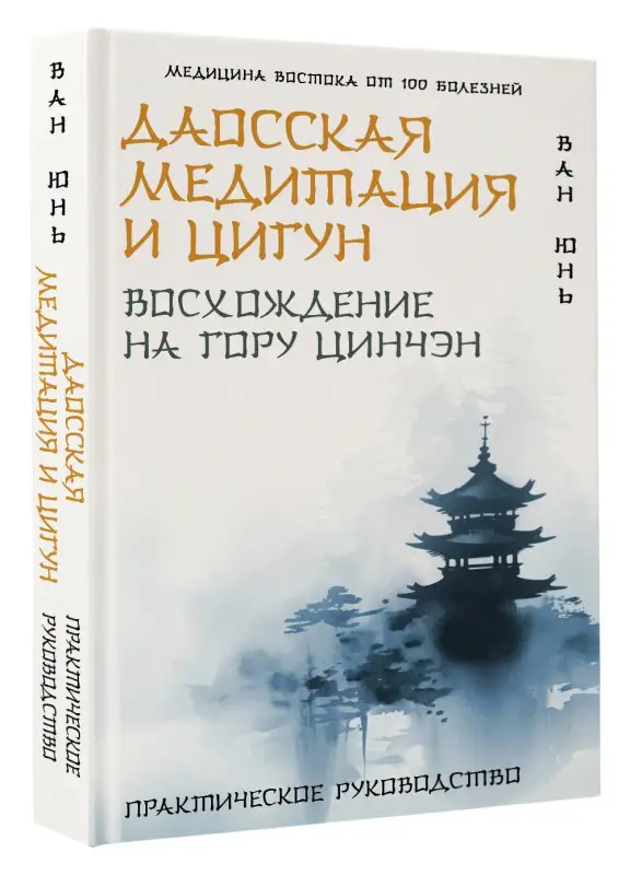 Ван Юнь: Даосская медитация и цигун. Восхождение на гору Цинчэн. Практическое руководство