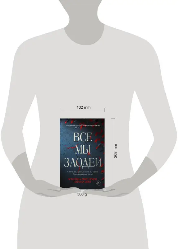 Кристина Линн Эрман, Аманда Фуди. Все мы злодеи (#1)