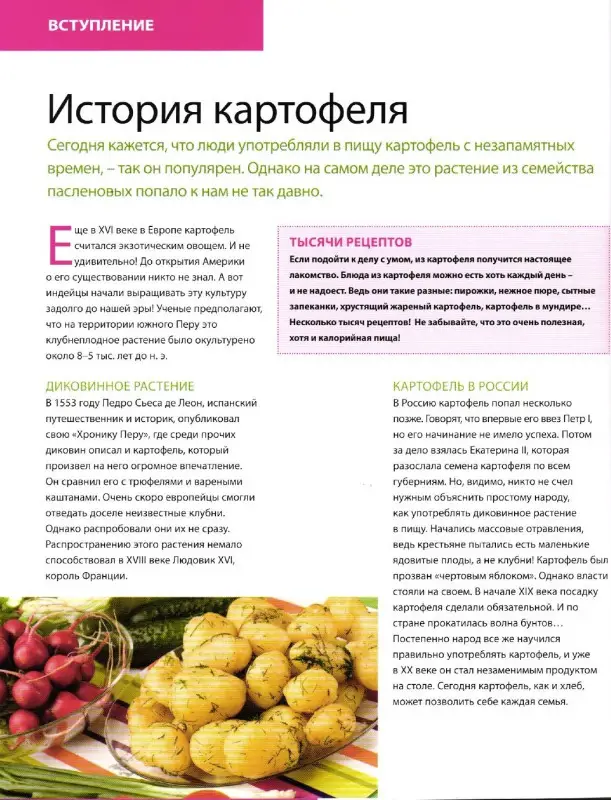 Быстро и Вкусно. Лакомый картофель Выпуск 2