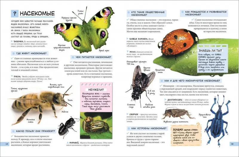 Уценка. Большой подарок школьнику