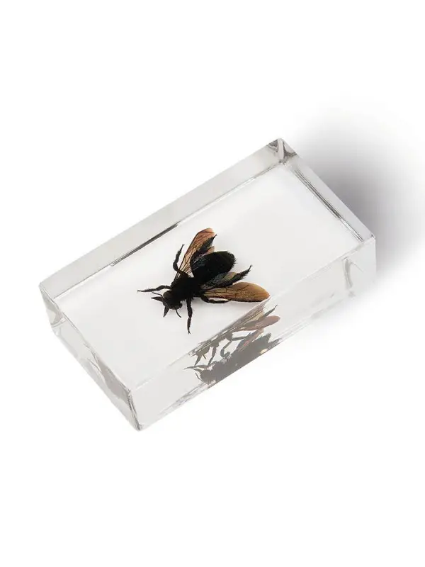 Журнал № 31 "Настоящие насекомые" (Пчела-листорез)