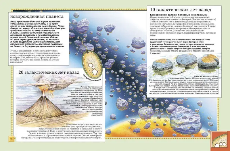 Уценка. Животные. Полная энциклопедия